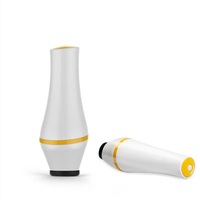 Mini Scelleuses Alimentaires Portatives avec Gonflage d'Air, Modes Alimentation Humide et Sèche, Scellage 30 cm pour Chefs Domestiques