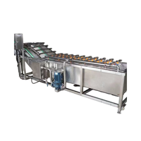 Bubble-wasmachine Fruit- en groentereinigingsmachine Commercieel 304 roestvrij staal Automatische voedselverwerking