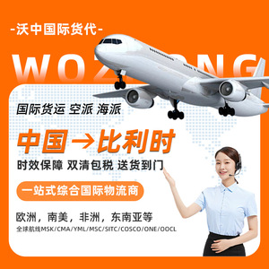 Wozhong International Logistics, Transporte Aéreo y Marítimo de China a Bélgica, DDP Puerta a Puerta, Despacho de Aduanas, Servicio de Almacenamiento - Product Image 1