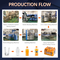 Geavanceerde automatische 3-in-1 PET-fles sap- en waterzuiveringsmachine met hoge productiviteit motor voor industriële drankenproductielijnen