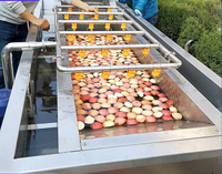 Industriële bubbelgroentewasmachine Automatische fruit- en groentereinigingsapparatuur voor sla, spinazie, appel, tomaat
