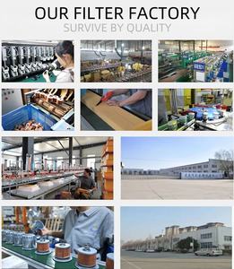 Filter Oli Mesin untuk FORD JAGUAR VOLVO 1218846 1595247 1751529 1S7G6714CA 1S7G6714DA 5015485 5097737 C2Z21964 LR025306 30711781 - Product Image 5