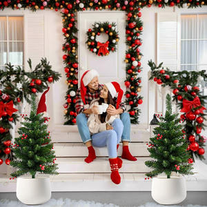 Árvore de Natal de Estilo Novo para Jardim, Decoração de Natal com Inserção no Solo, Item Decorativo - Product Image 4