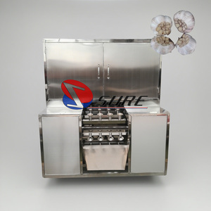 Thiết Kế Mới Tỏi Gốc Loại Bỏ Máy Tỏi Gốc Máy Cắt Tỏi Gốc Gốc Cắt Với Chất Lượng Tốt - Product Image 1