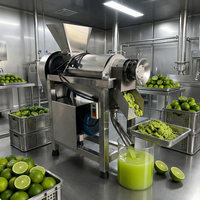 Extracteur de jus industriel à vis, presse-agrumes et citronniers de Chine, machine commerciale de haute qualité pour fruits et carottes, en acier inoxydable 1200W