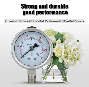 Preço de fábrica 2.5 "1/4 Rosca 10bar/psi Aço Inoxidável Manômetros Fosco para Gás Água Líquido - Product Image 2