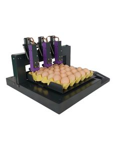 Máy in phun trứng 3 đầu in ngày sản xuất và số sê-ri trên toàn bộ máy mã hóa sản phẩm trứng - Product Image 2