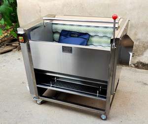 Máquina Industrial de Alta Eficiencia para Lavar, Pelar y Limpiar Frutas y Verduras como Arándanos, Taro, Zanahorias, Cebollas, Jengibre y Patatas - Product Image 6