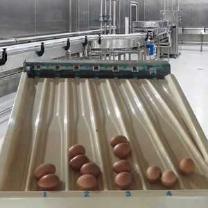 เครื่องคัดแยกไข่อัตโนมัติขนาดกะทัดรัด สแตนเลส 2000 ฟองต่อชั่วโมง พร้อมระบบชั่งน้ำหนักดิจิตอล 220V - Product Image 5