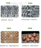 Complément alimentaire probiotique à base de plantes pour poules pondeuses avec vitamines et enzymes - Stimule la production d'œufs, prolonge la période de ponte, améliore la qualité des coquilles d'œufs