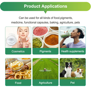 US Warehouse Supply Oleuropein 20% Olive Leaf Extract <strong>Powder</strong> by HPLC - Product Image 6