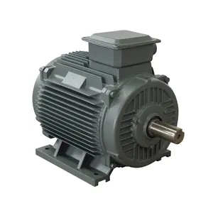 Permanent magnet generator mit niedriger Drehzahl 1 kW-5000 kW, Generator generator mit Permanent magnet motor mit hoher Leistung
