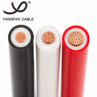 Kabel RV 60227 IEC 02 PVC Berisolasi Kawat Tembaga Fleksibel 450/750V Inti Tunggal Kabel Listrik untuk Kabelan Kabinet Switchboard