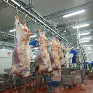 Perlengkapan Rumah Sembelih Ternak Halal, Abattoir Modern - Product Image 6