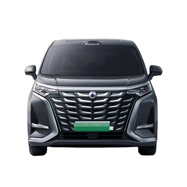 DenzaD9 New Energy Vehicle 5-door 7-seater MPV with 145-155km WLTC Range