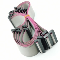 IDE 26awg 32Pin JTAG 2.54mm FC-32P AVR rubans ronds plats