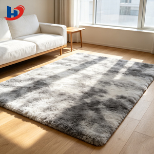Tapis shaggy doux et moelleux HJ, vente directe fabricant, tapis tie-dye haute densité lavable pour hôtel, salon, chambre, personnalisable - Product Image 4