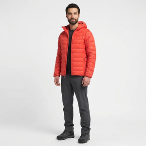 2026 Men Canvas Thin High Street Style Lightweight <b>Waterproof</b> <b>Warm</b> Winter Puffer Jackets with Stand Collar and Front Logo - Product Image 1