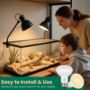 Bombilla de Lámpara de Calor para Reptiles R80 de Fábrica, 75 W, 350 lm, Base E26, Luz de Calentamiento para Terrario, Tortuga, Lagarto, Cuidado Uniforme y Cálido - Product Image 6