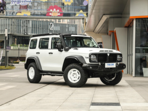 MÁS POPULAR BONO DE AÑO NUEVO OFFROAD 5 ASIENTOS 4WD BIG TANK 300 GASOLINA HYBRID SUV COCHE VEHÍCULO - Product Image 6