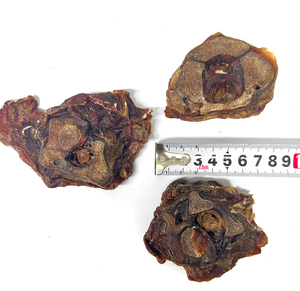 Bán Buôn Các Nhà Sản Xuất Dinh Dưỡng Lành Mạnh Thịt Bò Cổ <span class=keywords><strong>Chop</strong></span> Pet Snack Cao Protein Thô Pet Dog Xử Lý Bê Cổ Xương Đồ Ăn Nhẹ - Product Image 4