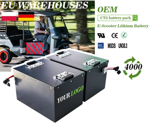 충전식 72V 40Ah 50Ah 60Ah 100Ah 전기 오토바이 12V <span class=keywords><strong>2V</strong></span> 3.<span class=keywords><strong>2V</strong></span> 24V 36V 공칭 LifePO4 용 리튬 이온 배터리 팩 - Product Image 4