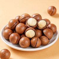 Nueces de macadamia al por mayor, granos recién tostados, múltiples sabores