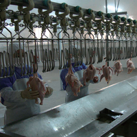 Machine à emballer de coupe d'abattage de poulet avec équipement de boucherie de convoyeur-Moteur et roulement de composants de noyau-Fabriqué en Chine