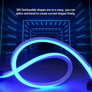 Dimmable IP65 Silicone Waterproof LED Tube <b>Rope</b> Neon <b>Lights</b> for Building Facade Lighting - Product Image 2