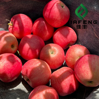 Yantai Rode Fuji Appel |   Zoet vers fruit |   Chinese exportleverancier