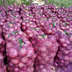 Fresh Red Raw <strong>Onions</strong> Top Grade HALAL ISO Certified From Shandong <strong>China</strong> <strong>Exporters</strong> - Product Image 2