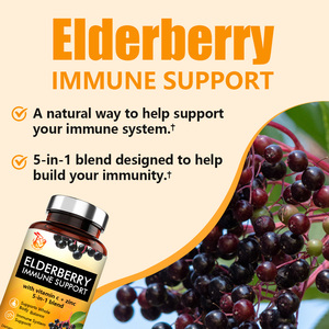 Best Selling Elderberry Capsules with Garlic Bulb Extract Echinacea Purpurea Extract Support <b>Your</b> Immune System Dietary Capsules - Product Image 4
