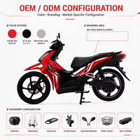 Moto électrique 3000W 72V 75 km/h, moteur haute vitesse, moto électrique pour les trajets en ville, longue autonomie, SKD CKD CBU
