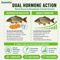 Hochreine Karpfen-Hypophyse für Gonadotropin-Hormon quelle in der Biotechnologie