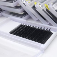 Extensions de cils en gros, cils volumineux, cils noirs mats, cils en velours, extensions de cils individuelles 8-15 mm