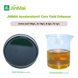 Fertilizzante Liquido Fogliare Organico con Aminoacidi e Micronutrienti Chelati (Zn, <span class=keywords><strong>B</strong></span>, Fe) per Mais <span class=keywords><strong>a</strong></span> Maturazione Precoce e Alta Resa - Product Image 2