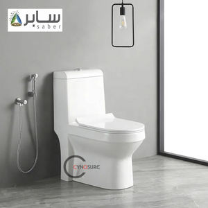 Toilettes modernes à fermeture douce, siphon en P, céramique sanitaire, céramique européenne, toilettes monobloc au sol - Product Image 1