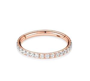 Clásico 6mm/8mm/10mm Totalmente Hengsen Acero inoxidable Prong Cz Huggie Hoop Segmento con bisagras Daith Tragus <span class=keywords><strong>Orbital</strong></span> Conch Helix <span class=keywords><strong>Piercing</strong></span> - Product Image 3