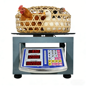 ميزان رقمي شعبي في تايلاند بمنصة 30*40 سم وسعة قصوى 200 كجم لمصانع الدوريان - Product Image 5