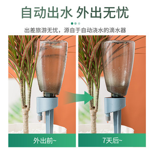 Arroseur automatique à goutte-à-goutte 200 ml en plastique, efficace pour les plantes en pot - Product Image 5