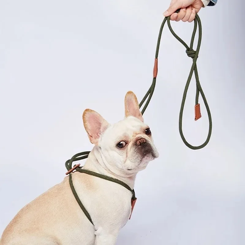 Tali Kekang Anjing Peliharaan Aktif Kustom Bebas Tangan Warna-warni Tali Nilon Kerah dan Tali Anjing Set Tali Harness Gunung Climbin Dikepang
