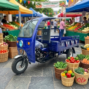 Venta Caliente de Fábrica: Motocicleta de Tres Ruedas con Toldo, 200CC, para Carga y Pasajeros, Motor de Gasolina, Triciclo Motorizado para Adultos - Product Image 1