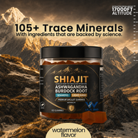 Gummies de Shilajit de l'Himalaya avec Ashwagandha, Sea Moss, Lion's Mane, 105+ Oligo-éléments, Marque Privée OEM