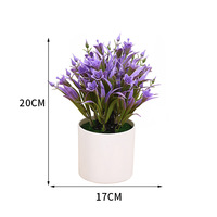 Maßgefertigte Wasserhyazinthen-Lilie im Topf Kleines Frühlingsgras im Instagram-Stil Innendekoration Grünpflanze Mini-Bonsai