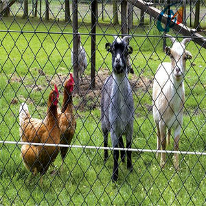 Clôture rentable de maillon de chaîne de pâturage enduit/galvanisé de puissance d'enceinte d'animal de fil métallique pour la ferme de moutons - Product Image 1