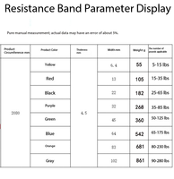 Bandes de Résistance Sportives Durables en TPE Essence RB5 – Kit de Flexibilité des Mains 6x Bandes Élastiques de Fitness pour Hommes pour l'Entraînement du Corps Entier