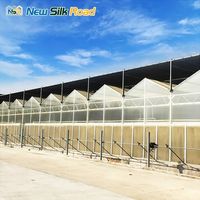 Kit de serre hydroponique pour tomates de grande taille Nsr Commercial Venlo Multi-Span en polycarbonate (plaque PC) pour l'agriculture