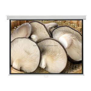 Caja cuadrada baja pantalla de proyección de <span class=keywords><strong>pared</strong></span> y techo pantallas <span class=keywords><strong>proyector</strong></span> 106" 16:9 - Product Image 2