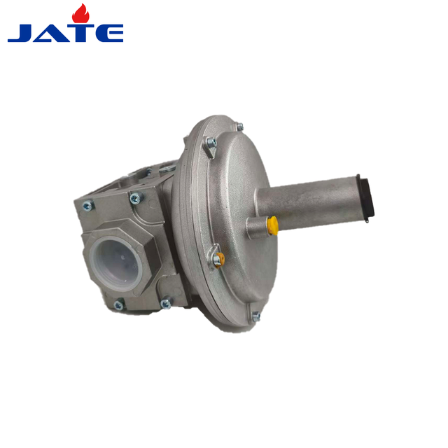 Giuliani Anello ST4B20 RP3/4 Gas Pressure Regulator 0.5-5 KPa Natural Gas LPG Industrial Burner Control Valve Pressure Regulator
