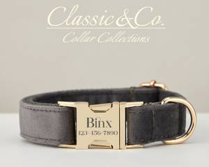 Ensemble collier et laisse pour chien personnalisé gris foncé Veet, nœud papillon, gravure personnalisée du nom de l'animal, boucle en métal, cadeau d'anniversaire pour chiot, livraison gratuite - Product Image 2